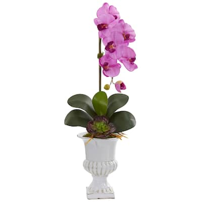 Phalaenopsis Orchid and Succulent Artificial Arrangement in Urn