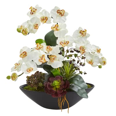 Phalaenopsis Orchid and Mixed Succulent Garden Artificial Arrangement in Black Vase