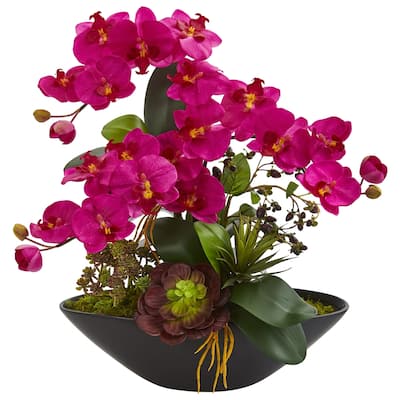 Phalaenopsis Orchid and Mixed Succulent Garden Artificial Arrangement in Black Vase