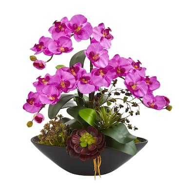 Phalaenopsis Orchid and Mixed Succulent Garden Artificial Arrangement in Black Vase