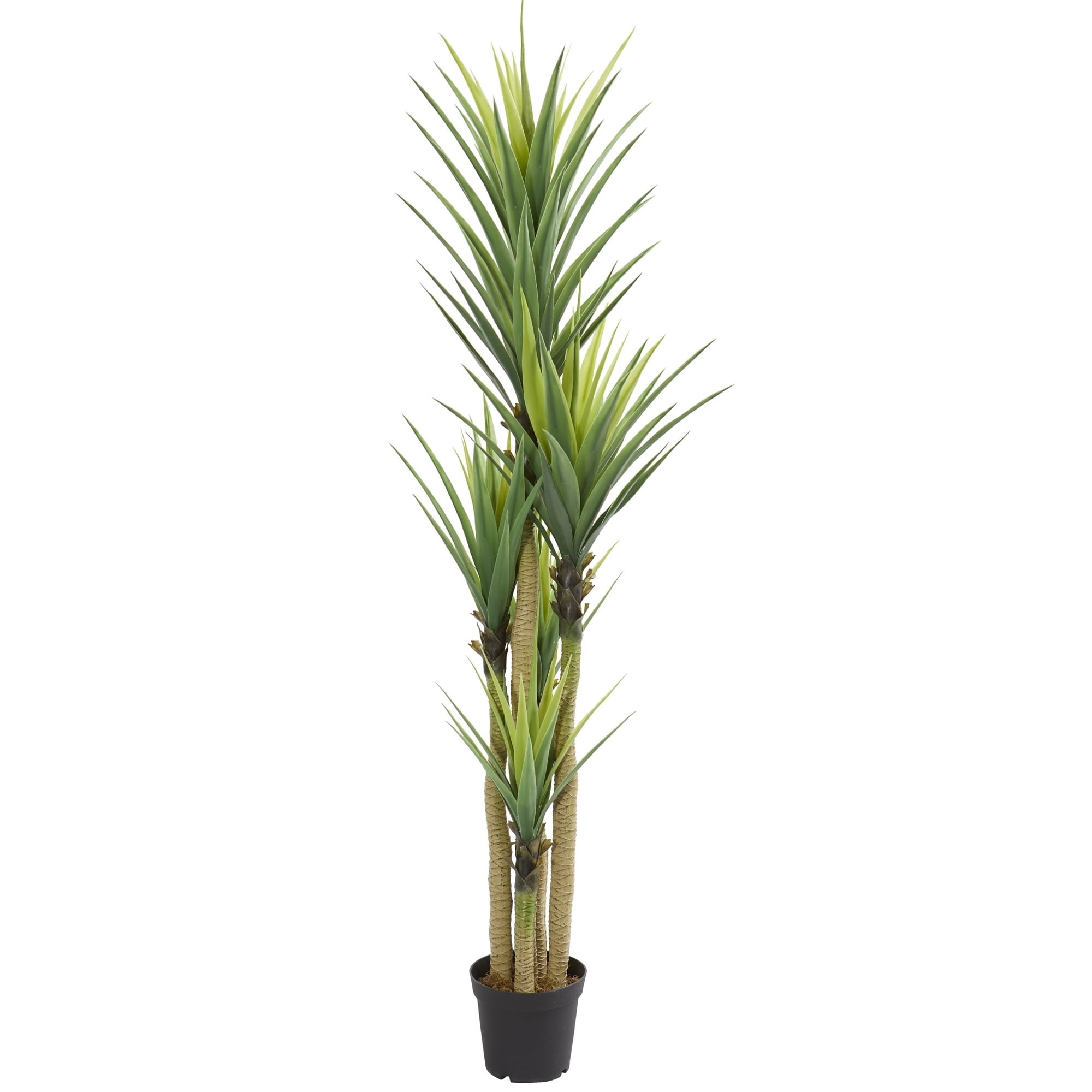 Dracena Artificial Plants Bed Bath & Beyond