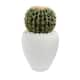 Cactus Artificial Plant in White Planter - Bed Bath & Beyond - 22349257