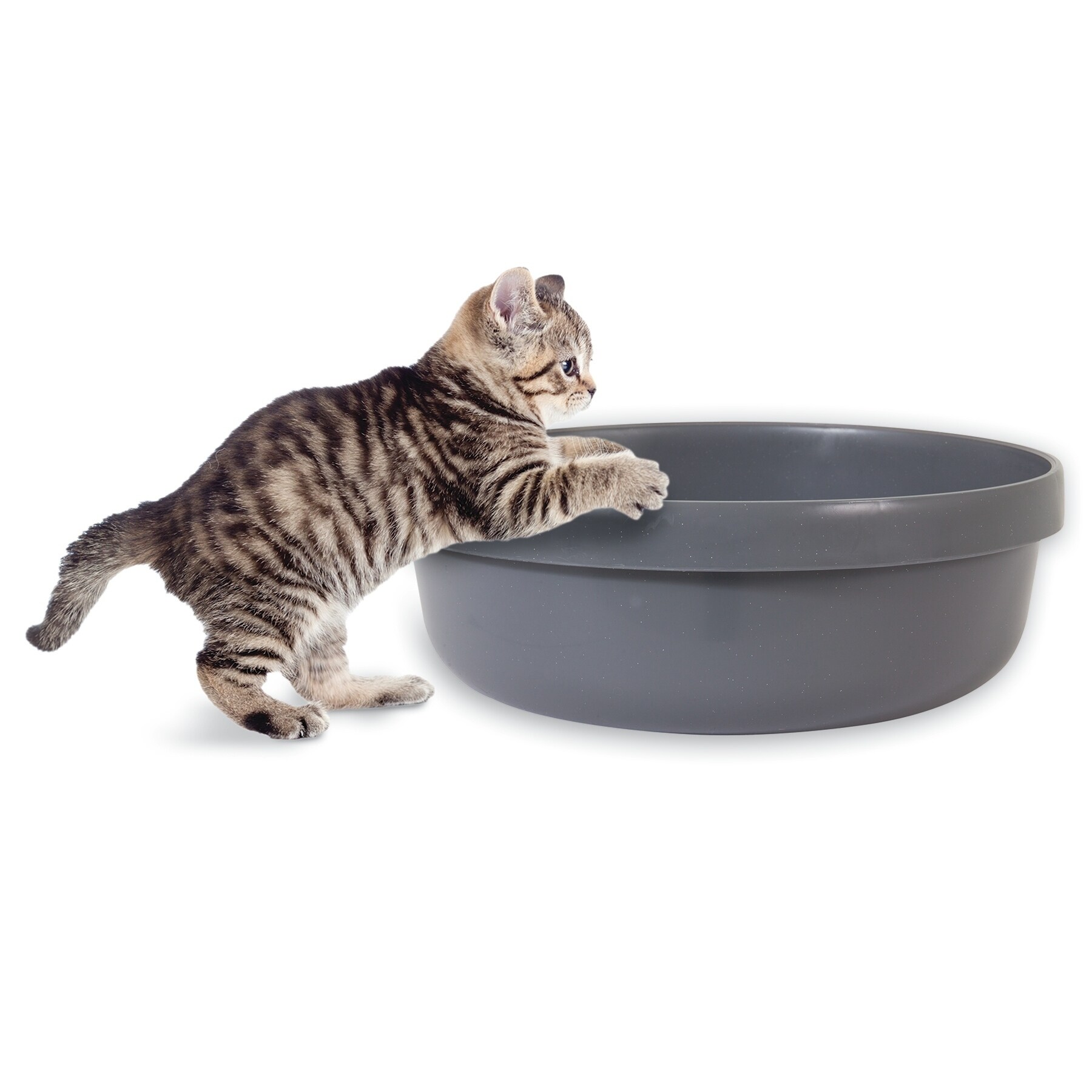 Jackson Galaxy Round Litter Pan Grey eBay