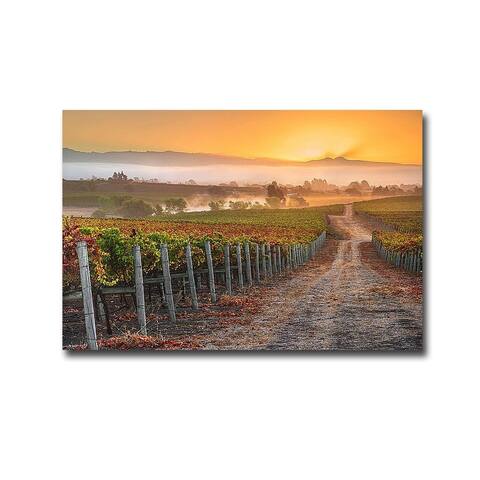 Vineyard Sunrise by John Gavrilis Gallery Wrapped Canvas Giclee Art