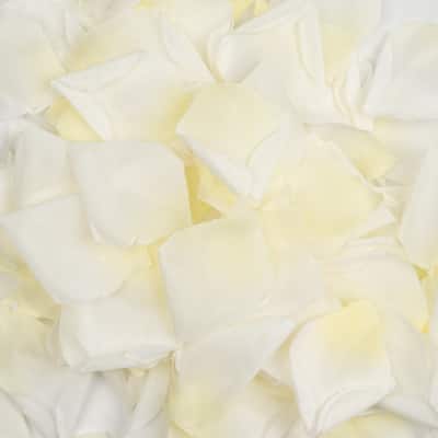 Scented Cream Faux Rose Petals