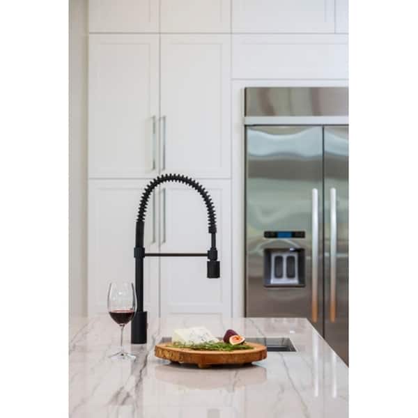 Shop Danze The Foodie Pre Rinse Kitchen Faucet 1 75gpm Dh450188bs