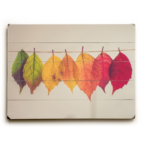 Leaf Spectrum - Multi Planked Wood Wall Decor by OBC