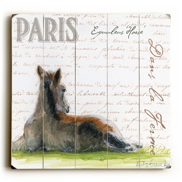 Dans La Ferme Foal - Planked Wood Wall Decor by Jennifer Redstreake
