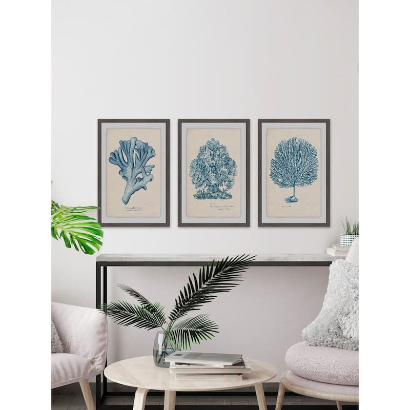 Marmont Hill - Handmade Sea Coral Study II Triptych - Multi-Color
