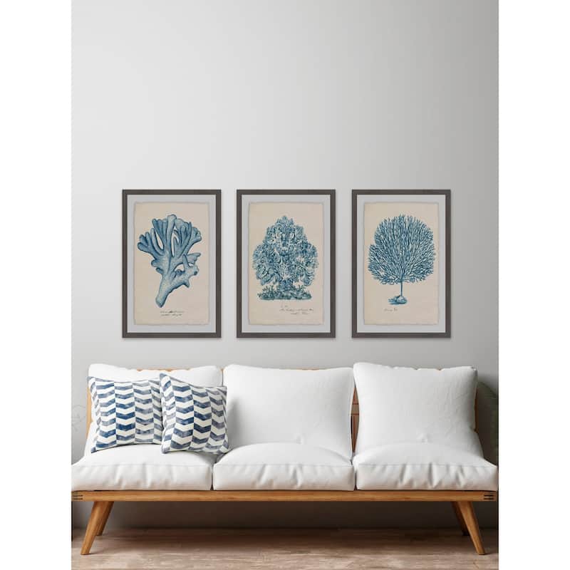 Marmont Hill - Handmade Sea Coral Study II Triptych - Multi-Color