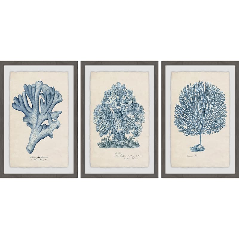 Marmont Hill - Handmade Sea Coral Study II Triptych - Multi-Color