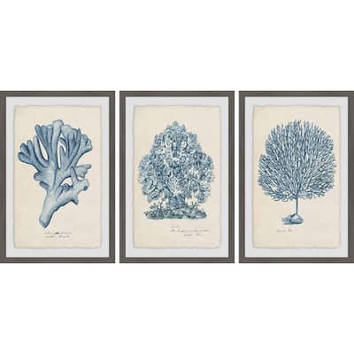 Marmont Hill - Handmade Sea Coral Study II Triptych - Multi-Color