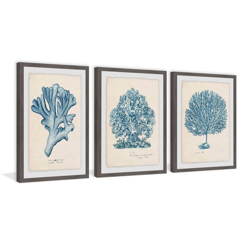 Marmont Hill - Handmade Sea Coral Study II Triptych - Multi-Color