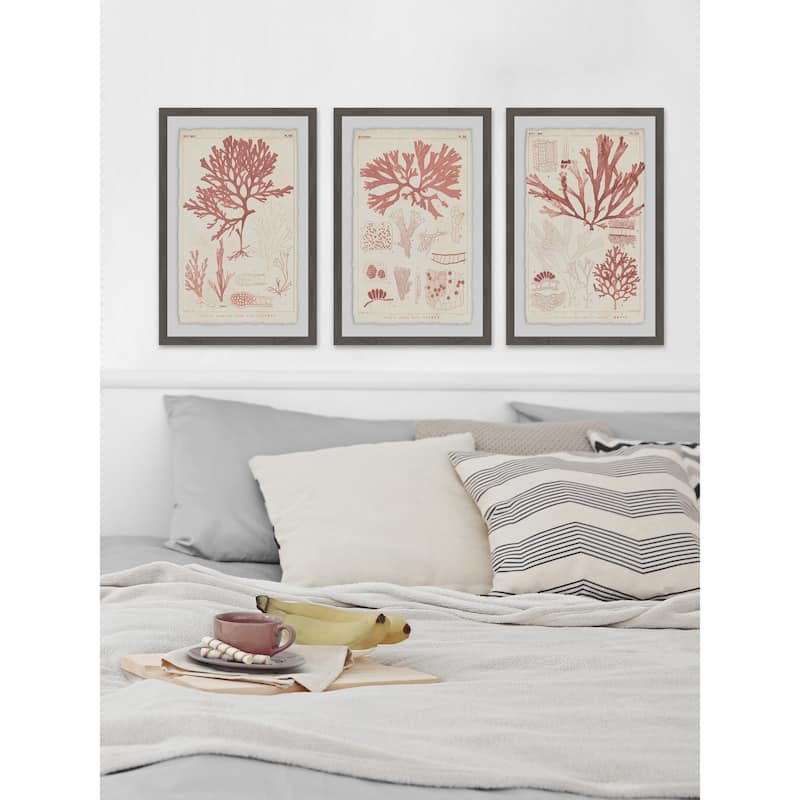 Marmont Hill - Handmade Antique Coral Seaweed II Triptych - Multi-Color