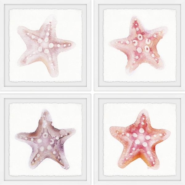 Marmont Hill - Handmade Starfish Gaze Quadriptych - Multi-color. Opens flyout.