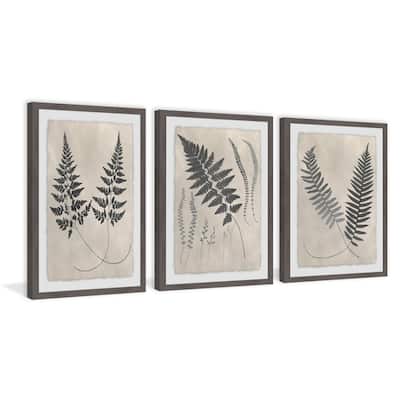 Marmont Hill - Handmade Vintage Fern Study II Triptych - Multi-Color