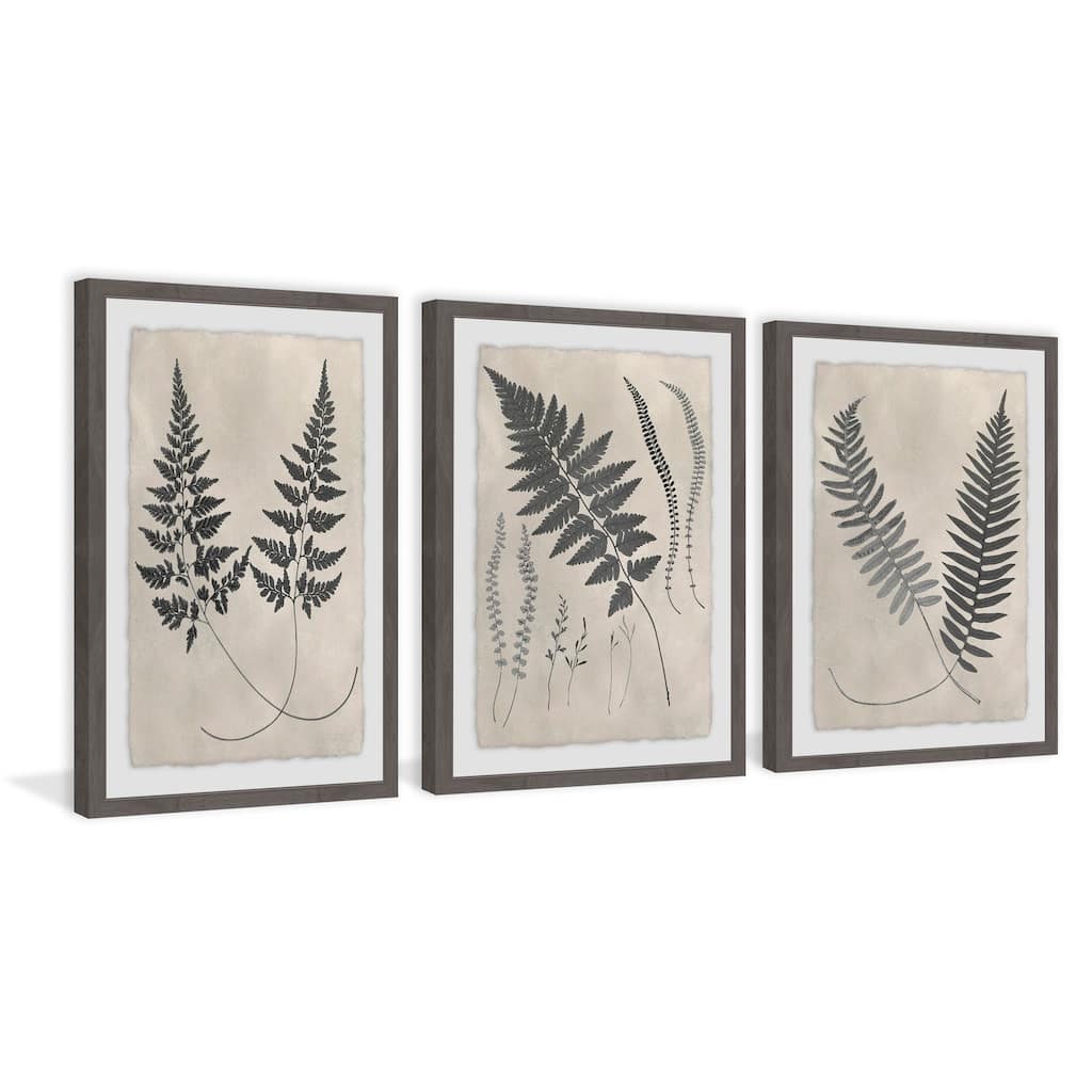 Marmont Hill - Handmade Vintage Fern Study II Triptych - Multi-Color