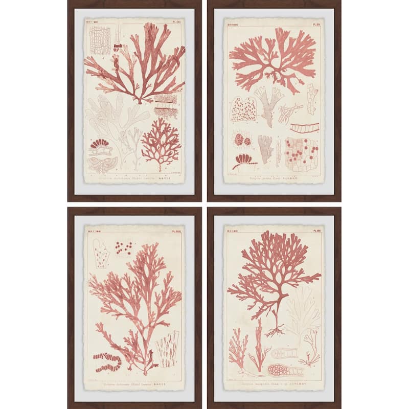 Marmont Hill - Handmade Antique Coral Seaweed Quadriptych - Multi-Color