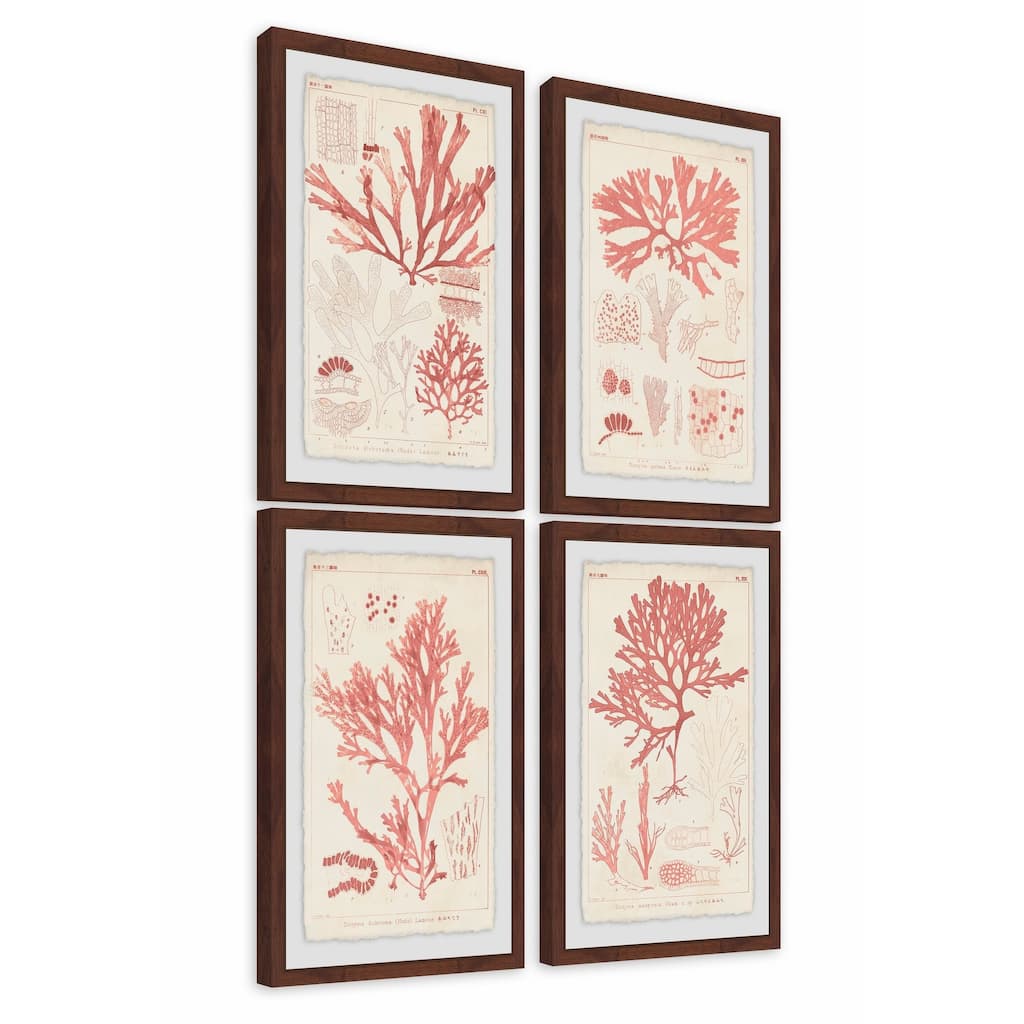 Marmont Hill - Handmade Antique Coral Seaweed Quadriptych - Multi-Color