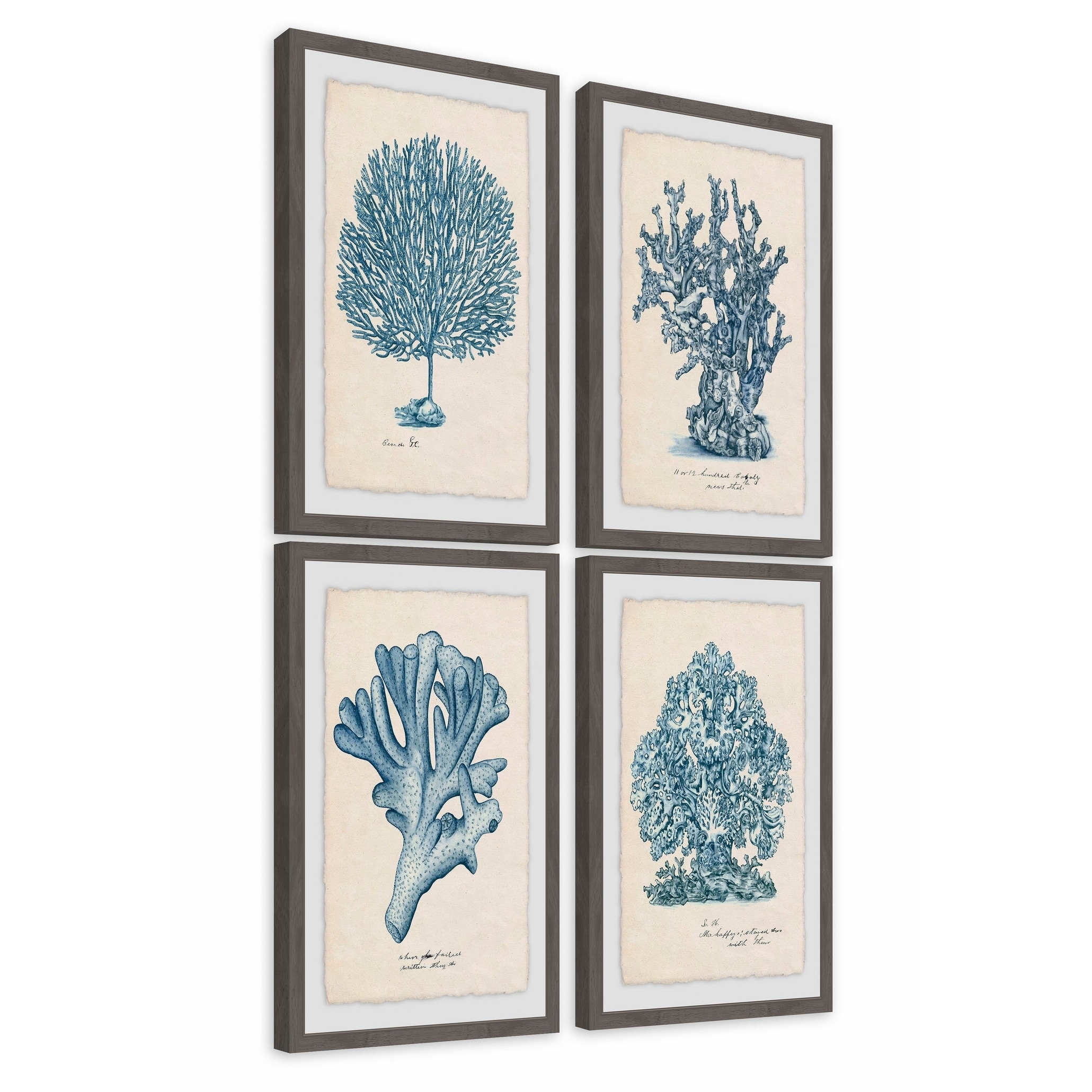 Marmont Hill - Handmade Sea Coral Study Quadriptych - Multi-color - Bed  Bath & Beyond - 22481940