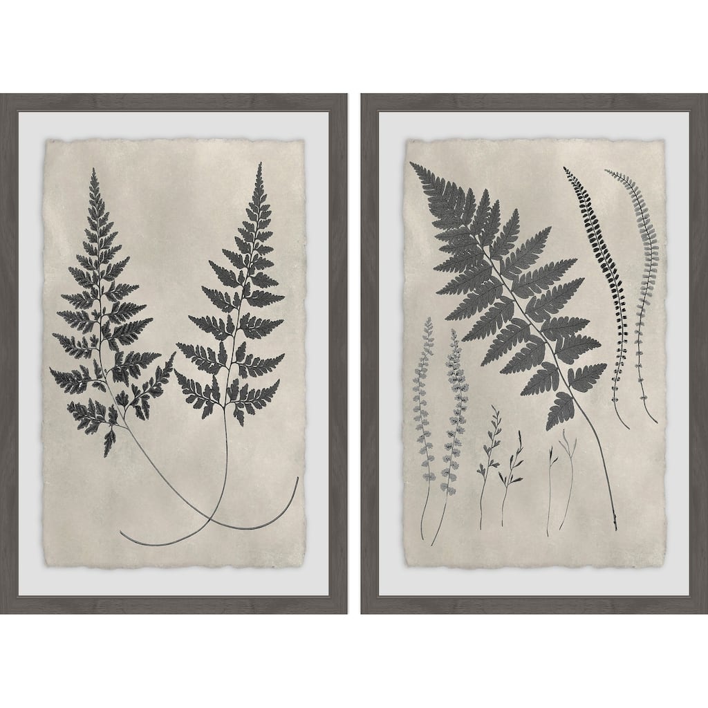 Marmont Hill - Handmade Vintage Fern Study Diptych - Multi-Color