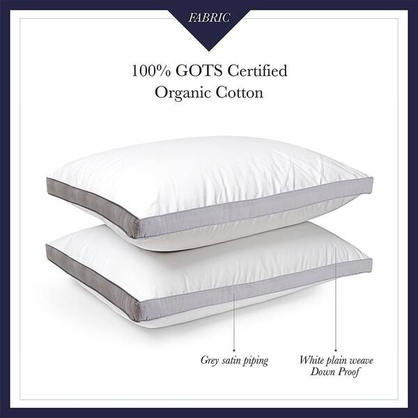 Shop Down Alternative Gusset Organic Cotton Pillow 20 X 30