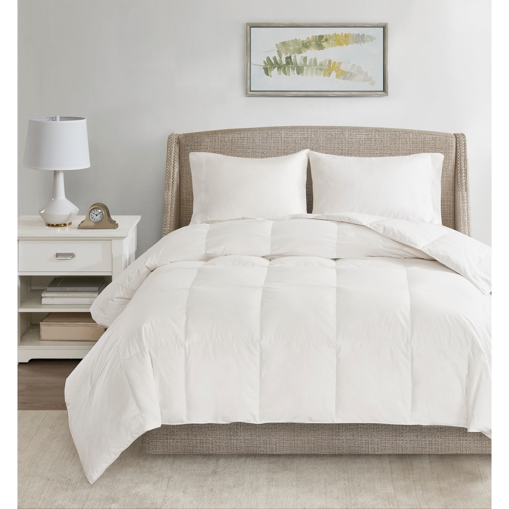 Bed Guardian 3M Scotchgard Stain Resistant and Waterproof Comforter  Protector by Sleep Philosophy - On Sale - Bed Bath & Beyond - 10565871