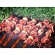 preview thumbnail 3 of 5, Wood BBQ Grill Tool Set- 18 Pc Stainless Steel Barbecue Accessories by Home-Complete