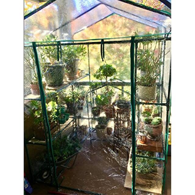 Walk-In Greenhouse- Indoor Outdoor with 8 Sturdy Shelves-Grow Plants, Seedlings, Herbs, or Flowers by Home-Complete