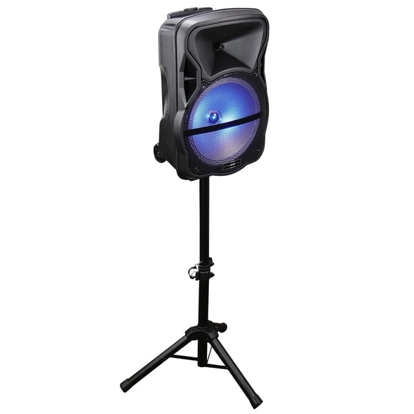 12 inch portable bluetooth speaker