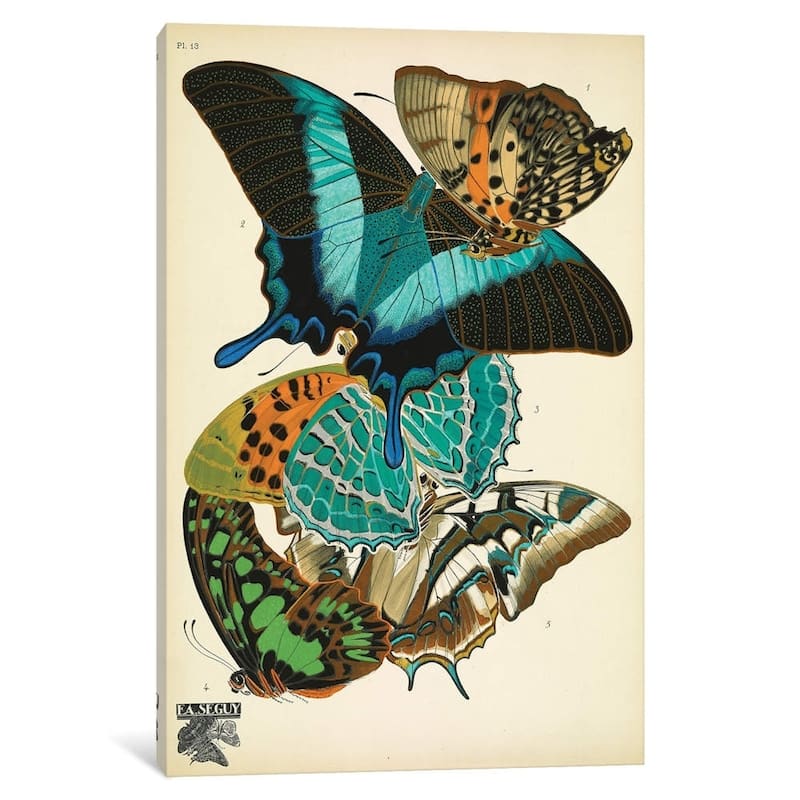 iCanvas "Papillons (Butterflies) XIII" by Eugene Seguy Canvas Print