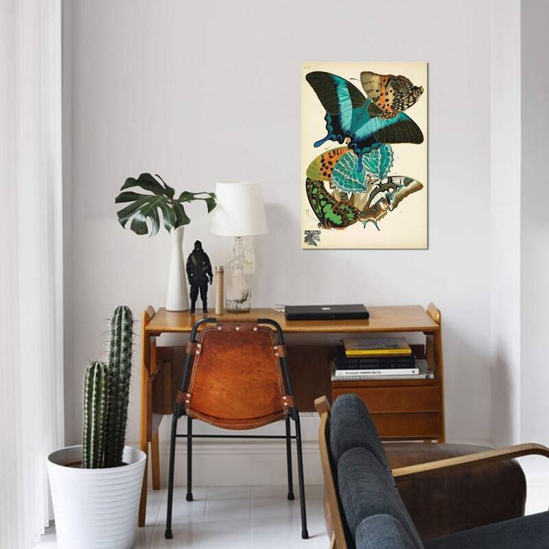 iCanvas "Papillons (Butterflies) XIII" by Eugene Seguy Canvas Print