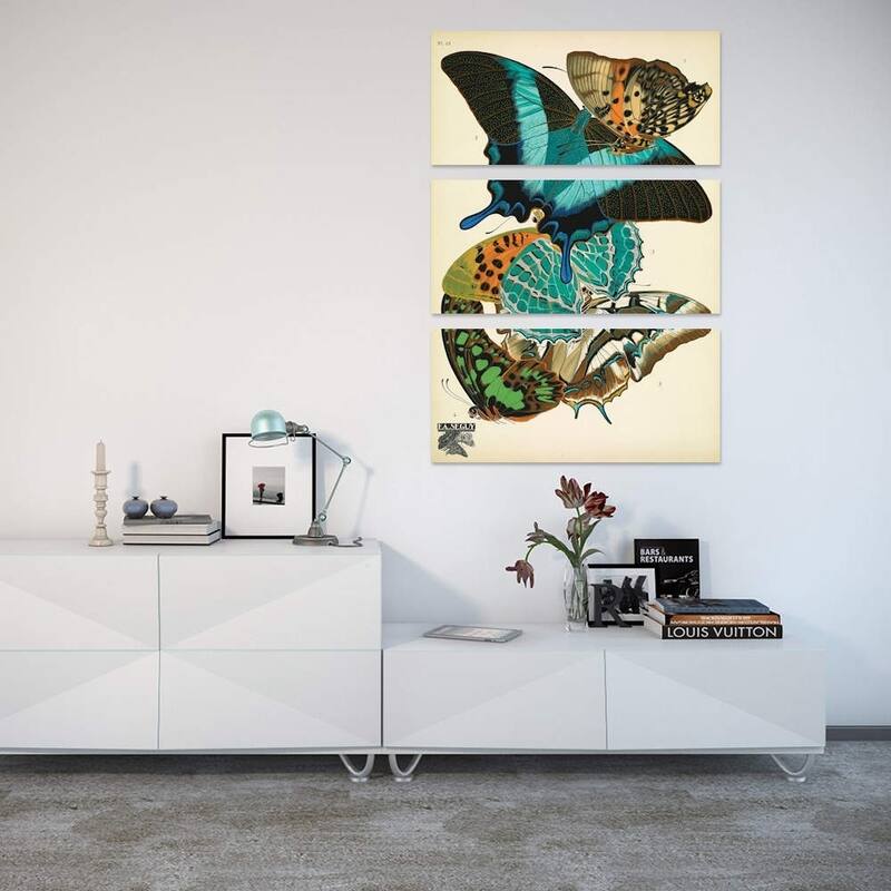 iCanvas "Papillons (Butterflies) XIII" by Eugene Seguy Canvas Print