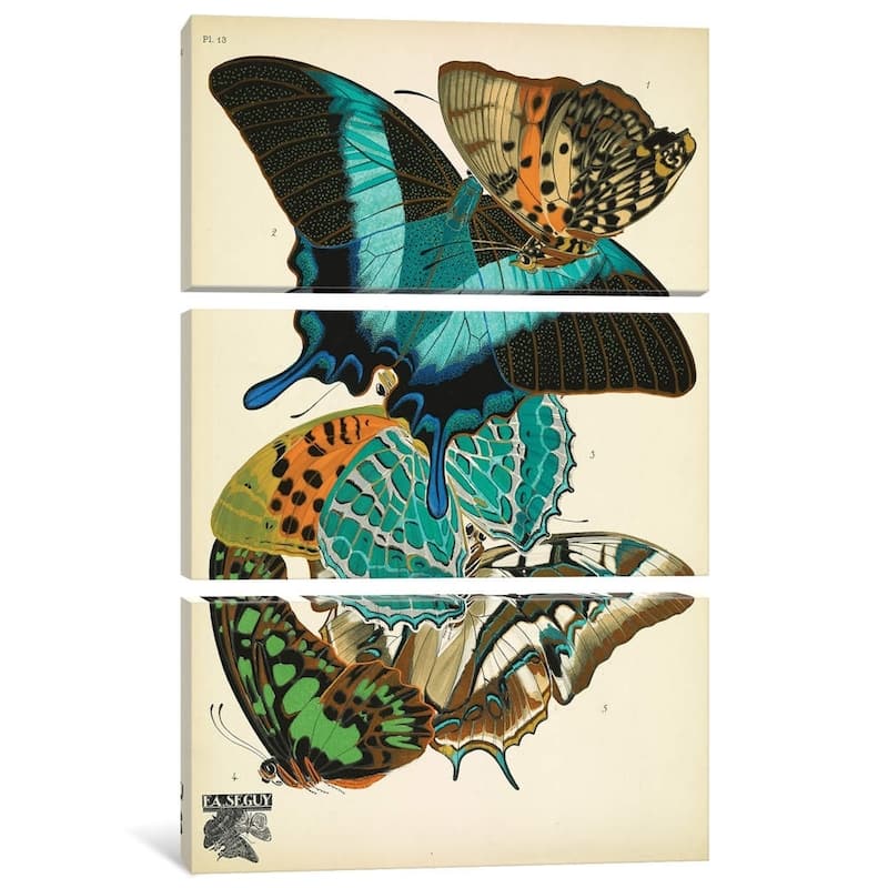 iCanvas "Papillons (Butterflies) XIII" by Eugene Seguy Canvas Print