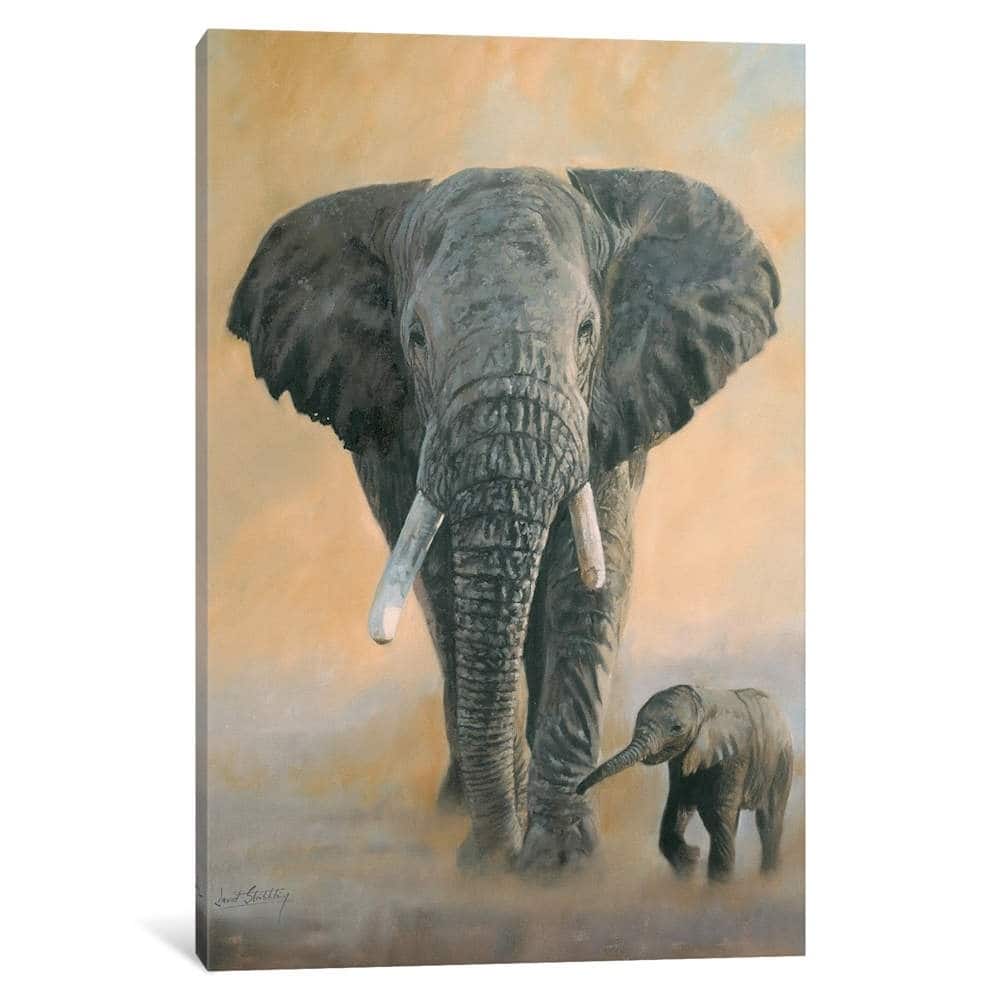 iCanvas "Elephant And Baby" by David Stribbling Canvas Print