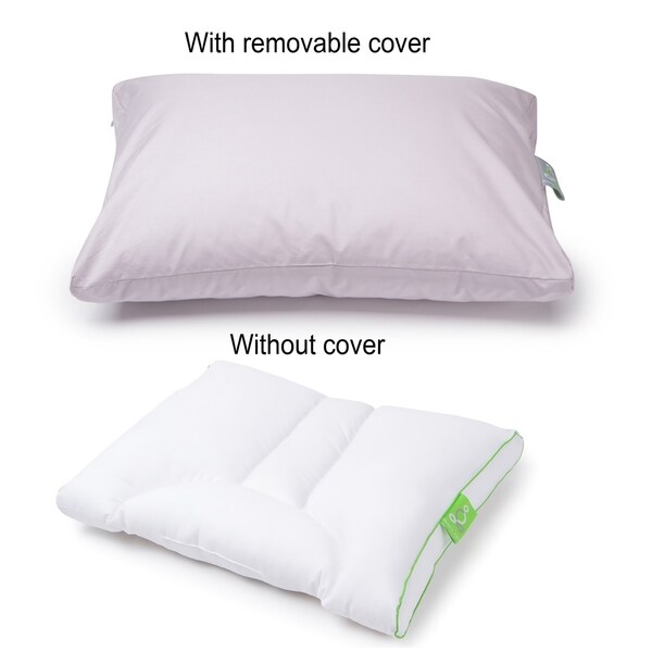 Bed bath clearance beyond pillow covers