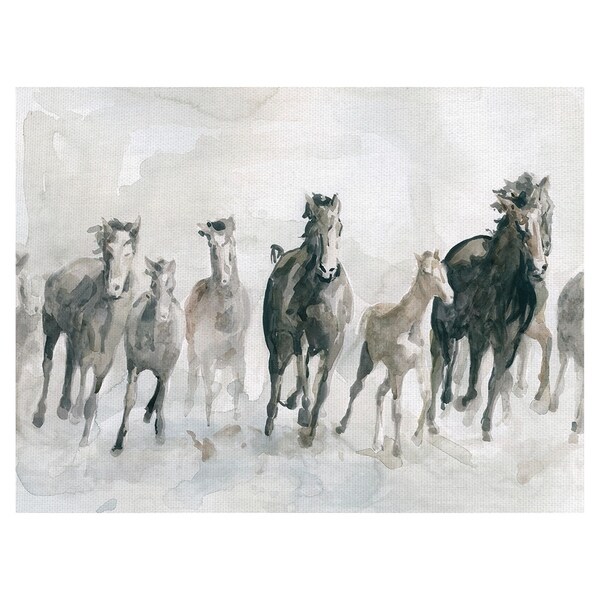 ARTCANVAS outlets Horse Wild Farm Animal Canvas Art Print