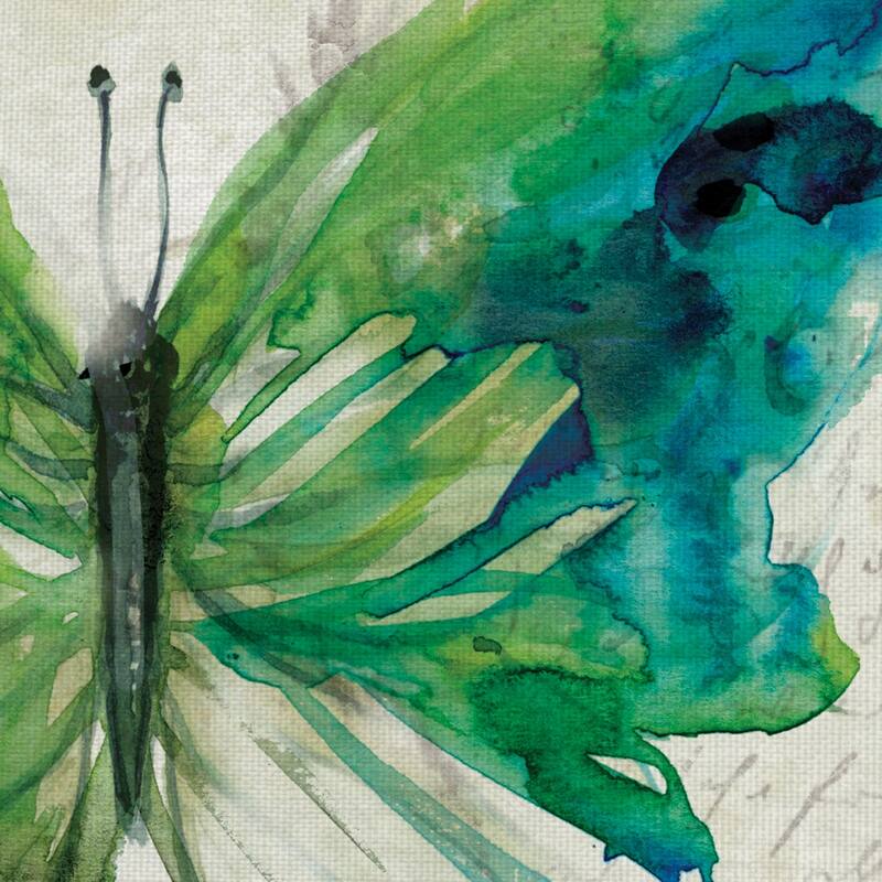 Butterfly Sketch I & II by Carol Robinson Canvas Art Painting Print Set - 12x12x2