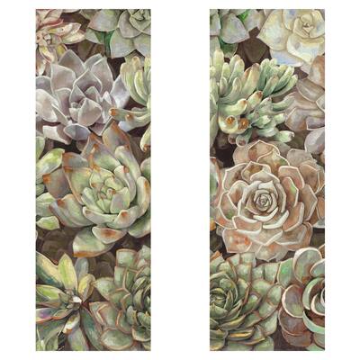 Desert Succulent Garden Panel I & II by Dixon Design Group Wrapped Canvas Painting Art Print - 12x36x2