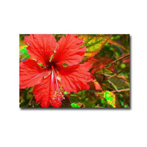 Red Hisbiscus by Don Spears Gallery Wrapped Canvas Giclee Art