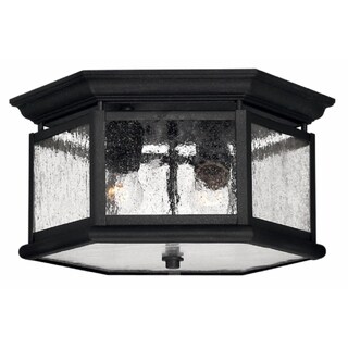 Hinkley Edgewater 2-Light Outdoor Flush Mount in Black
