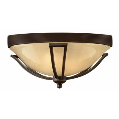 Hinkley Bolla 2-Light Outdoor Flush Mount in Olde Bronze