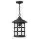 preview thumbnail 2 of 0, Hinkley Freeport 1-Light Outdoor Pendant in Black