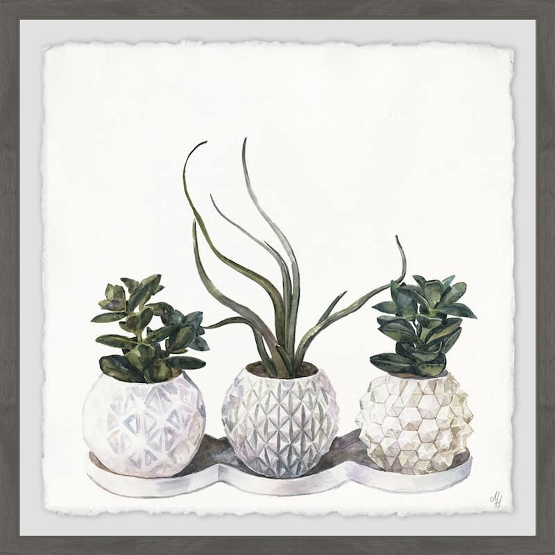 'Classy Succulents' Framed Painting Print - Multi-Color