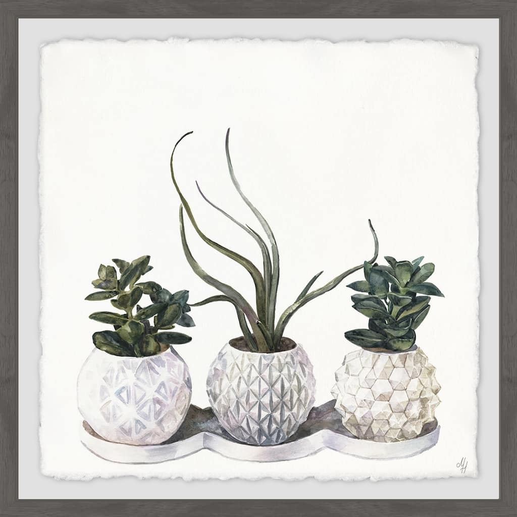 'Classy Succulents' Framed Painting Print - Multi-Color