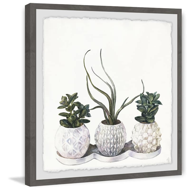 'Classy Succulents' Framed Painting Print - Multi-Color