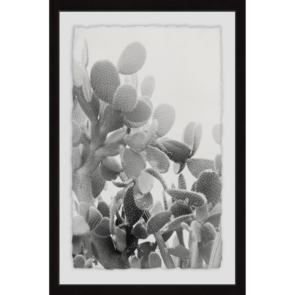 Round Succulent Stems' Framed Painting Print - Multi-Color