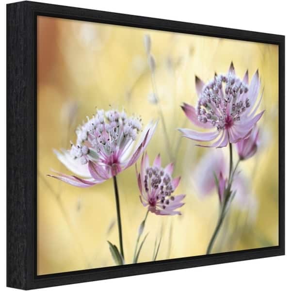 Canvas Art Framed Astrantia Major By Mandy Disher Overstock 22707978 Black