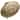 Delta Universal Showering 5-Setting Raincan Shower Head RP78575CZ Champagne Bronze