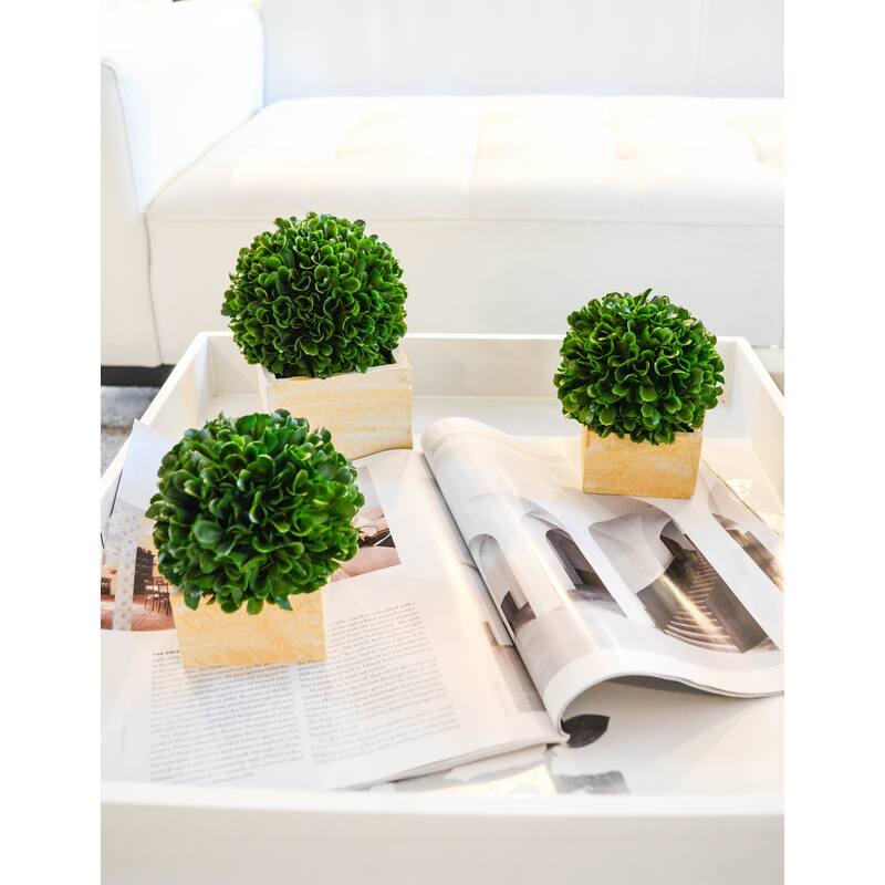 Faux Preserved Artificial Boxwood Ball Topiary Plant In Pot, Set Of 3 